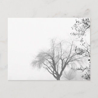 Foggy Morning Trees Postcard