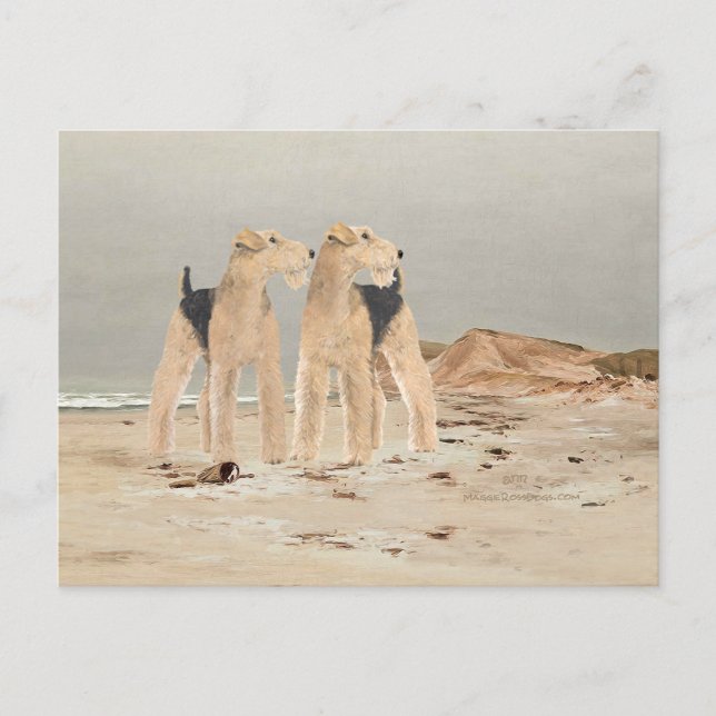 Foggy Seaside Postcard (Front)