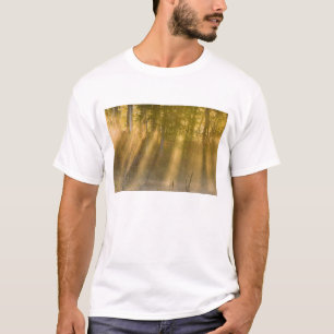 Foggy Sunrise at Tamarac NWR near Detroit Lakes T-Shirt