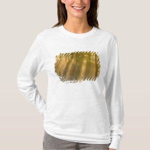 Foggy Sunrise at  Tamarac NWR near Detroit Lakes T-Shirt