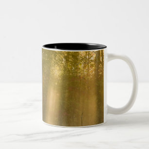 Foggy Sunrise at Tamarac NWR near Detroit Lakes Two-Tone Coffee Mug
