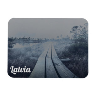 Foggy swamp landscape magnet