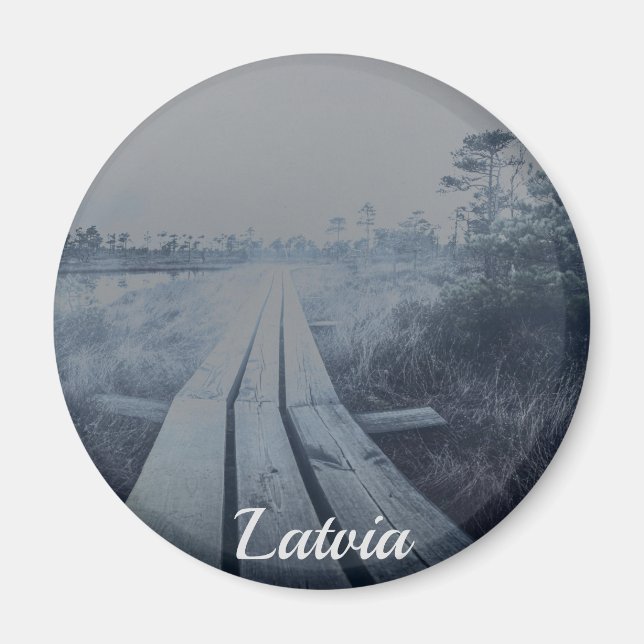 Foggy swamp landscape magnet (Front)