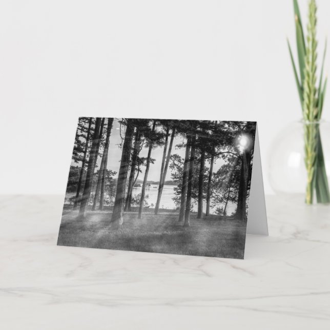 Foggy Trees At Table Rock Grayscale Card (Front)