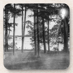 Foggy Trees At Table Rock Grayscale Coaster