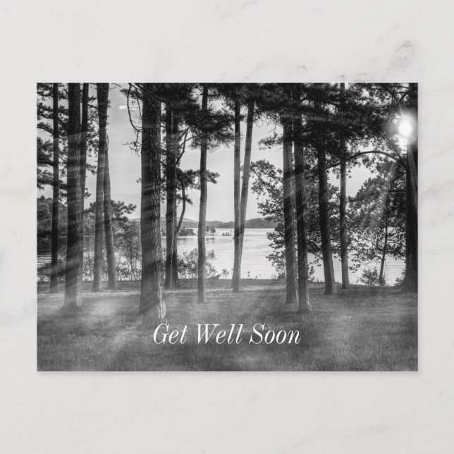 Foggy Trees At Table Rock Grayscale Get Well Postcard (Front)