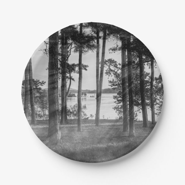 Foggy Trees At Table Rock Grayscale Paper Plate (Front)