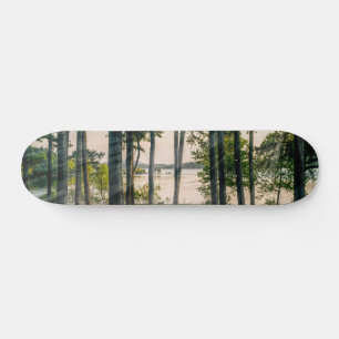 Foggy Trees At Table Rock Skateboard