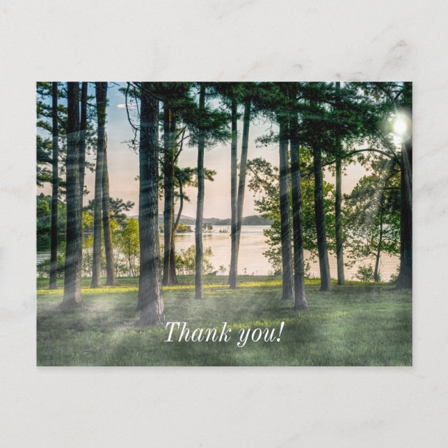 Foggy Trees At Table Rock Thank you Postcard (Front)