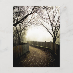 Foggy Waterfront 01 Postcard