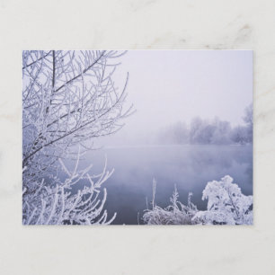 Foggy Winter Day by the River Postcard