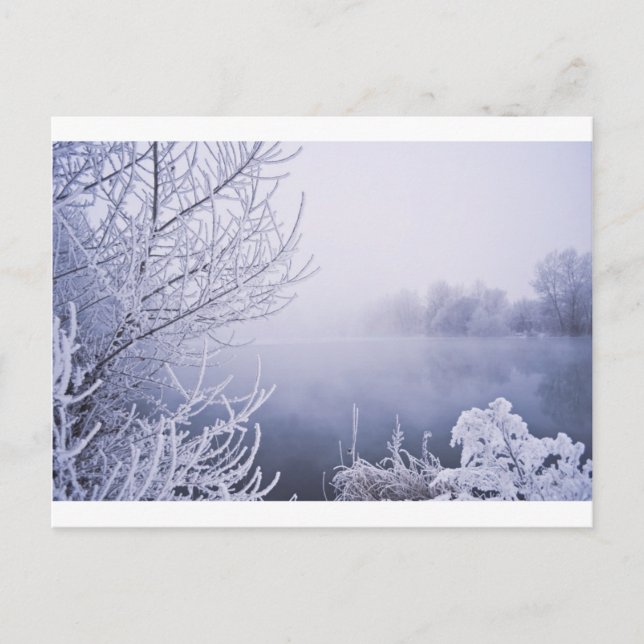Foggy Winter Day by the River Postcard (Front)