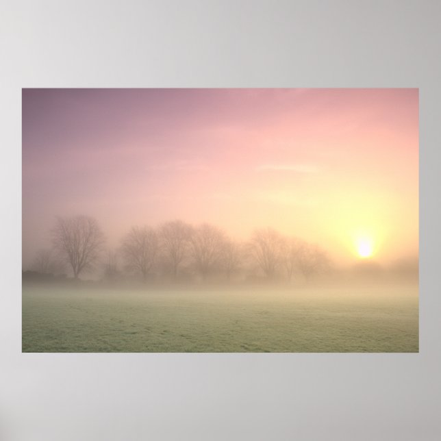 Foggy Winter Sunrise (6598)   Poster (Front)