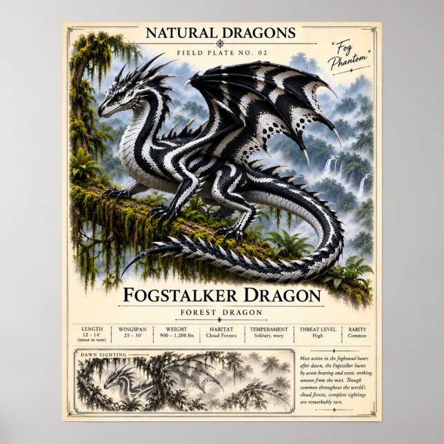 Fogstalker Field Plate Poster (Front)