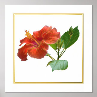 Foil Accent Red Hibiscus Flower Print
