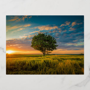 Foil Holiday Post Card