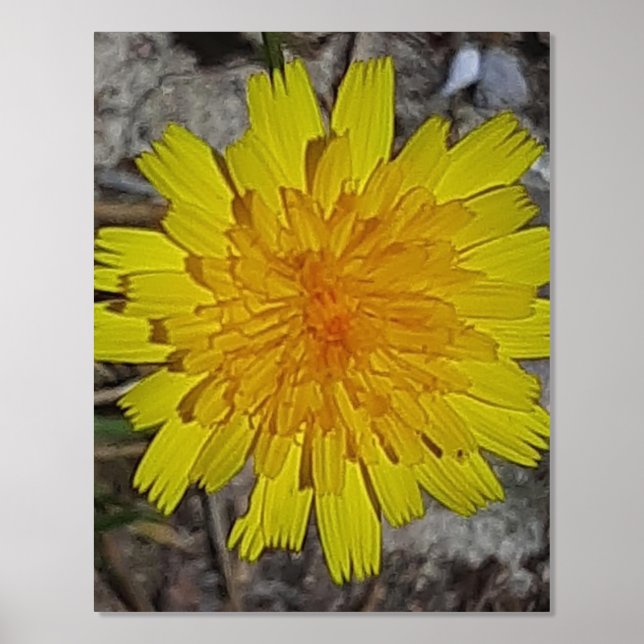 FOIL PRINT POSTER ART AND DESIGN  (Front)