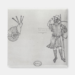 Fol.2 Snail and Hungarian soldier Magnet