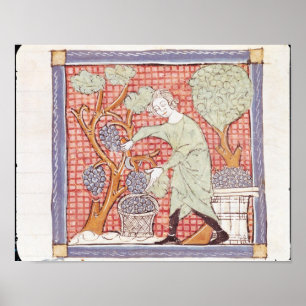 Fol.59r September: The Harvest Poster