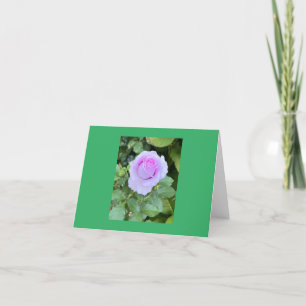 Folded Blank Card