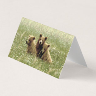 Folded blank note card of grizzly bear & cubs