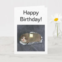 Folded Card Butta Cat Meme