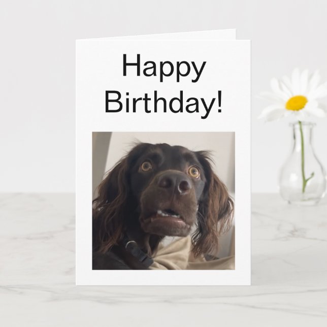 Folded Card Confused Dog Meme (Small Plant)