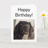 Folded Card Confused Dog Meme