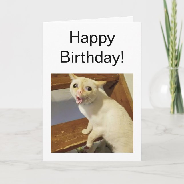 Folded Card Coughing Cat Meme (Front)