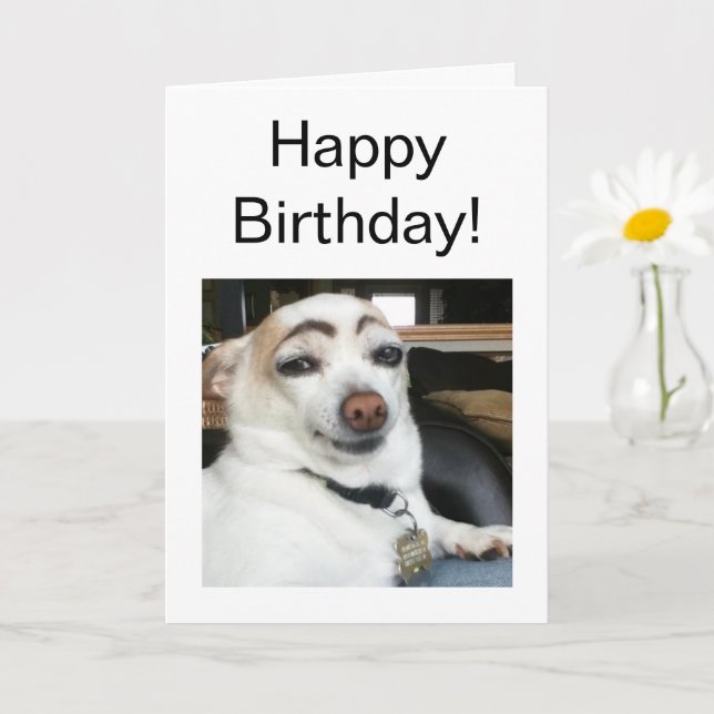 Folded Card Eyebrow Dog Meme (Small Plant)