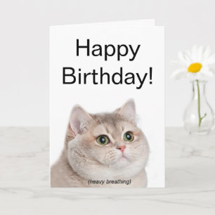 Folded Card Heavy Breathing Cat Meme