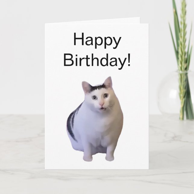 Folded Card Huh Cat Meme (Front)