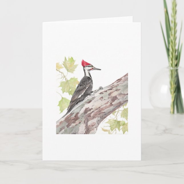 Folded card - Pileated Woodpecker - blank inside (Front)