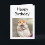 Folded Card Scared Hamster Meme<br><div class="desc">Make your very own unique Scared Hamster meme card for your friends,  family and loved ones.</div>