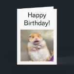 Folded Card Scared Hamster Meme<br><div class="desc">Make your very own unique Scared Hamster meme card for your friends,  family and loved ones.</div>