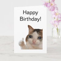 Folded Card Thumbs Up Ok Cat Meme