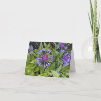 Folded Greeting Card