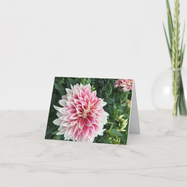 Folded Greeting Card (Front)