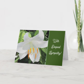 Folded Greeting Card