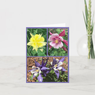 Folded Greeting Card