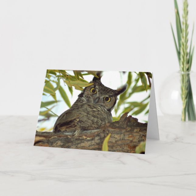 Folded greeting card with great horned owl (Front)