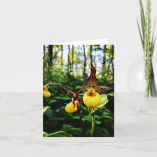 Folded greeting card with wildflower photo
