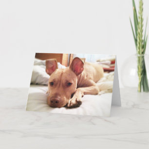 Folded Leon Greeting Card