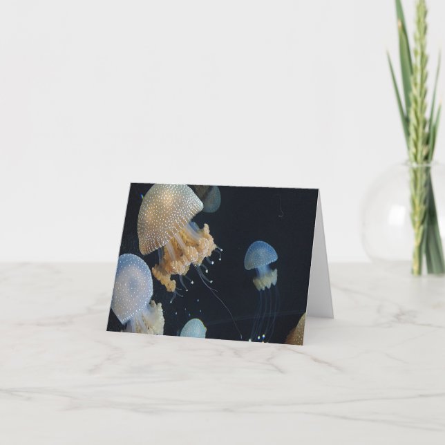 Folded Note Card (Front)