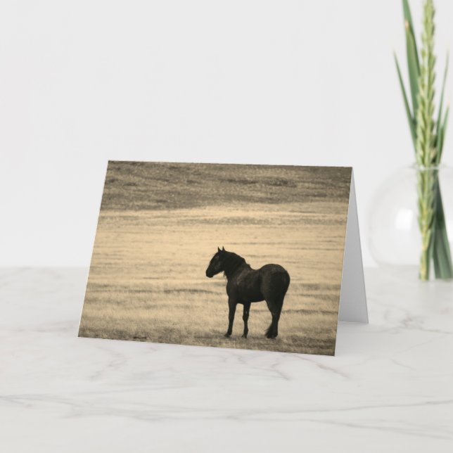 Folded Note Card Black Stallion ONAQUI HERD UTAH (Front)