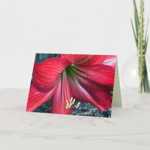 Folded Thank You Card