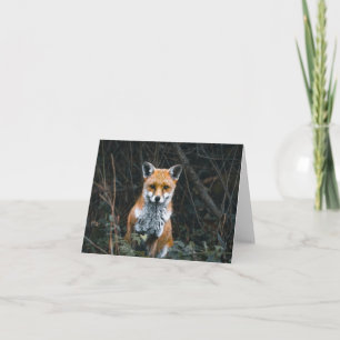 Folded Thank You Card