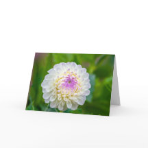 Folded Thank You Card