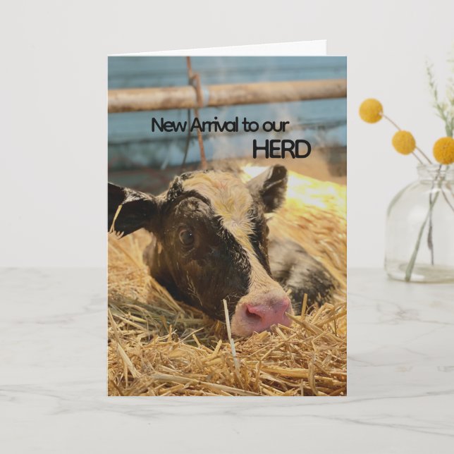 Folded Thank You Card Baby Announcement (Front)