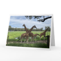 Folding Card - Giraffe Love Card